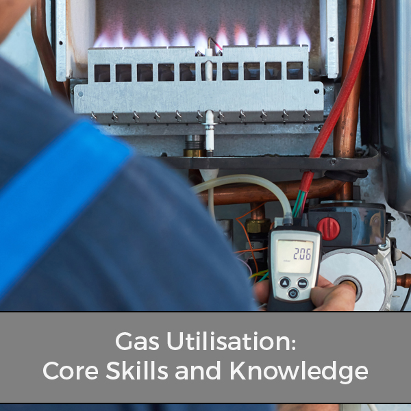 Gas Utilisation: Core Skills and Knowledge